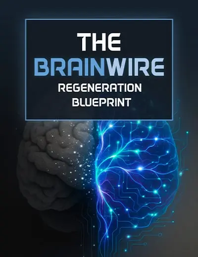 Audifort bonus 2 Brainwire Regeneration Blueprint